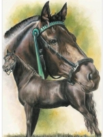 Diamond painting - Paard met veulen