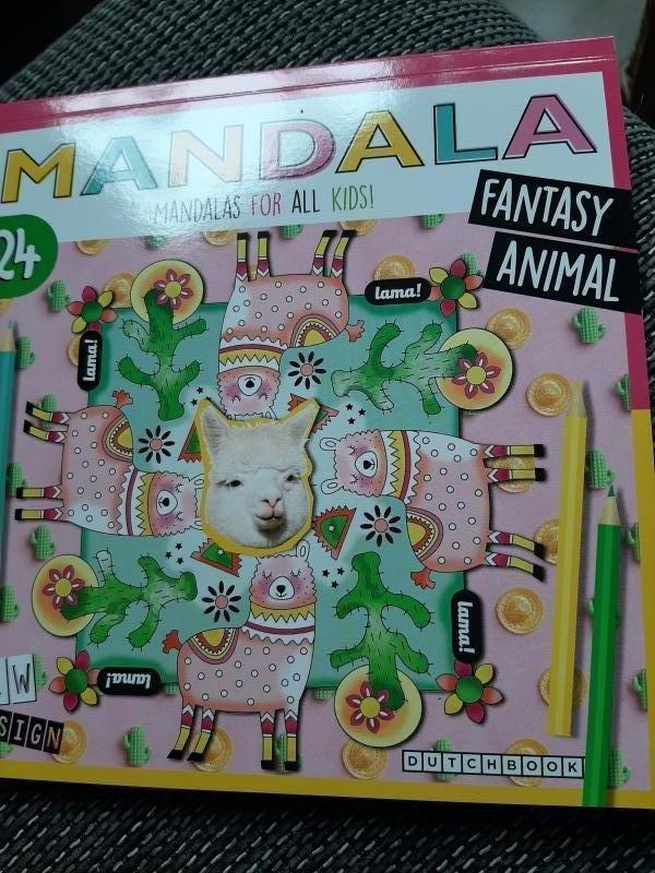 Mandala  voor kids  - Fantasy animal
