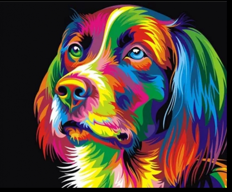 Diamond painting - felgekleurde  hond/ 20x30 cm