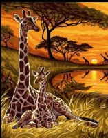 Schilderen op nummer - Giraffe met jong - safari / 40x50cm