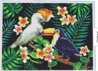 Diamond painting- Tropische vogelss  -30×40 cm