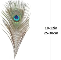 veren - pauw veer - 25-30 cm