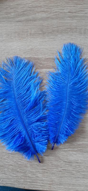 2 x Struisvogel veren Blauw / 20-25 cm