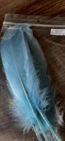 5 x Ganzen veren - lichtblauw - 15 -20 cm