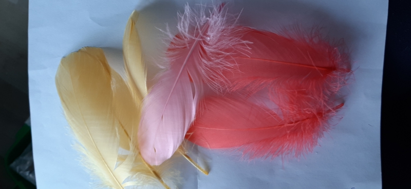 veren ganzen / mix roze rood geel/ 6x / 15-20 cm