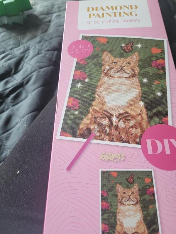 Diamond painting  - Rode kat - poes