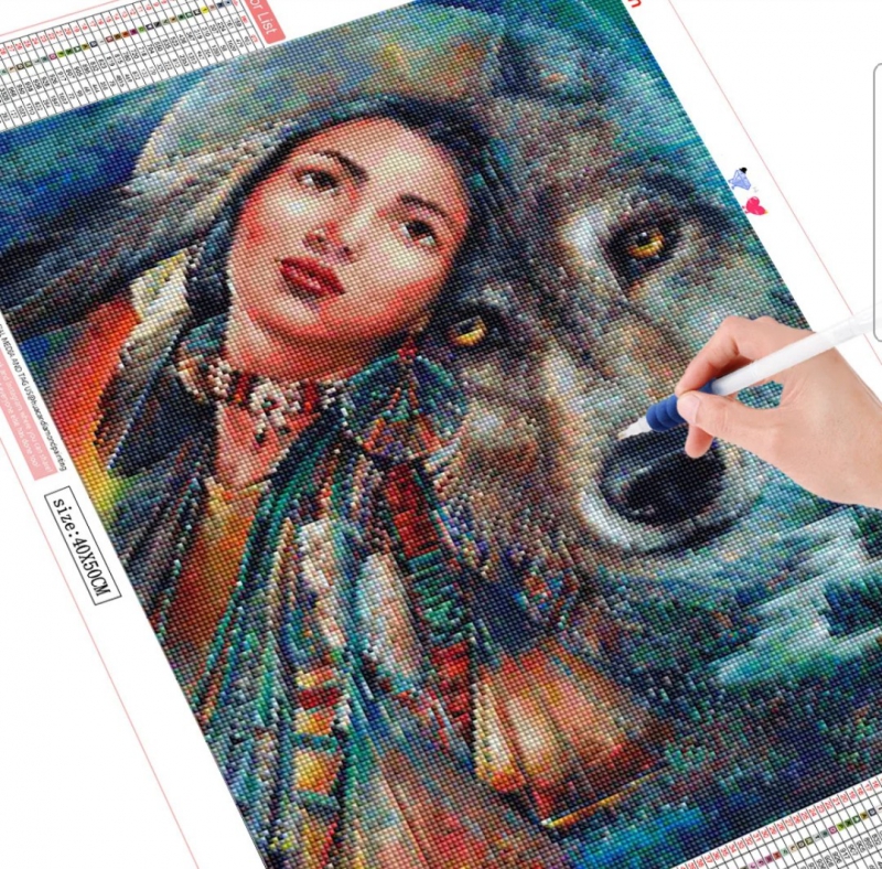 Diamond painting  - Indiaanse meid met wolf