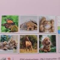 Diamond p 6 huisdier kaarten: hond kat paard