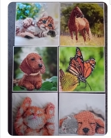 Diamond p 6 huisdier kaarten: hond kat paard