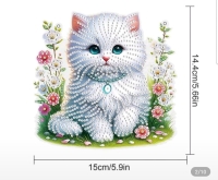 D.P. Raamhanger- witte Kat
