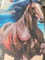 Diamond painting  - paard canvasdoek