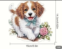 raamhanger  d.p. Hond