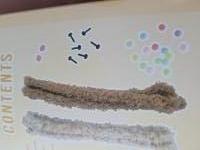 Chenille draad: DIY animal hond