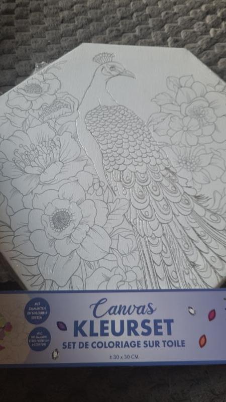 Kleurset -Pauw - 6 kantig canvas