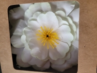 4 x witte kunstbloemen
